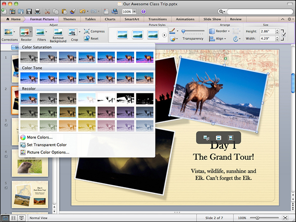 Редактирование изображений в PowerPoint (здесь и ниже изображения Microsoft).